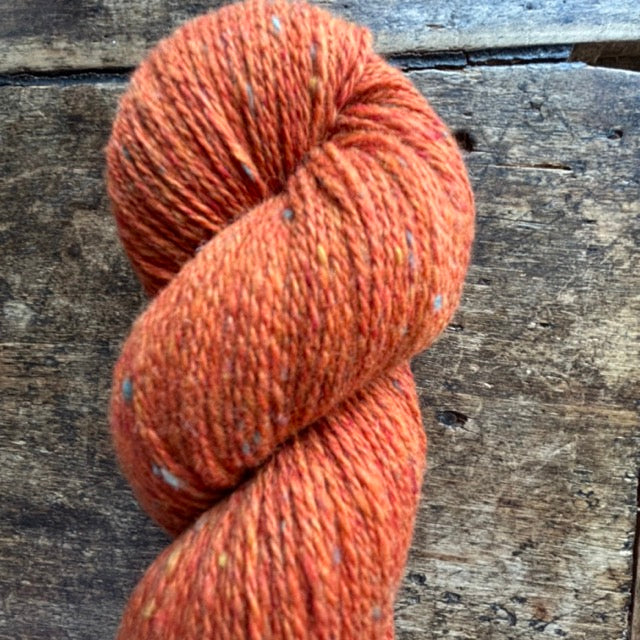 Studio Donegal Darnie