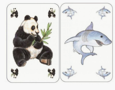 Djeco Zanimatch Card Game