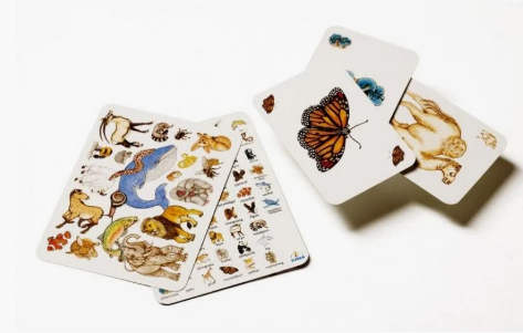 Djeco Zanimatch Card Game